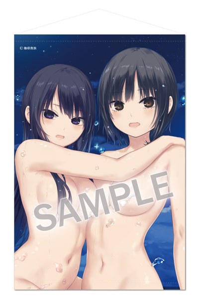 Brendream Coffee Kizoku B2 Wall Scroll Secret Island -starry sky- image 1