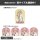 COSPA The New Prince of Tennis New Illustration Ikuto Kimijima Mini Sticker Set image 4