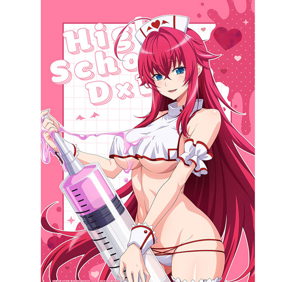 Curtain Damashii High School D x D HERO New Illustration B2 Wall Scroll (Rias Gremory / White Nurse) Double Suede Bild 1