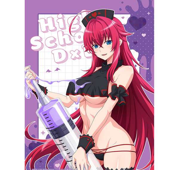 Curtain Damashii High School D x D HERO New Illustration B2 Wall Scroll (Rias Gremory / Black Nurse) Double Suede รูปภาพ 1