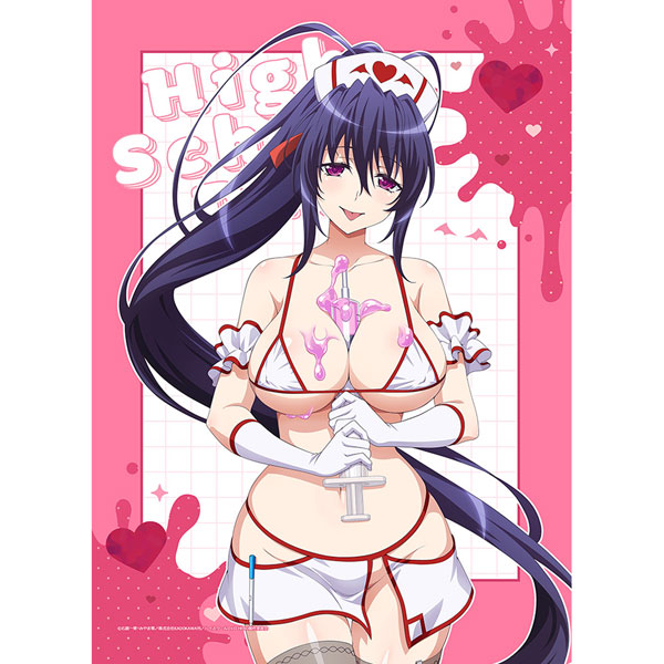 Curtain Damashii High School D x D HERO New Illustration B2 Wall Scroll (Akeno Himejima / White Nurse) Double Suede