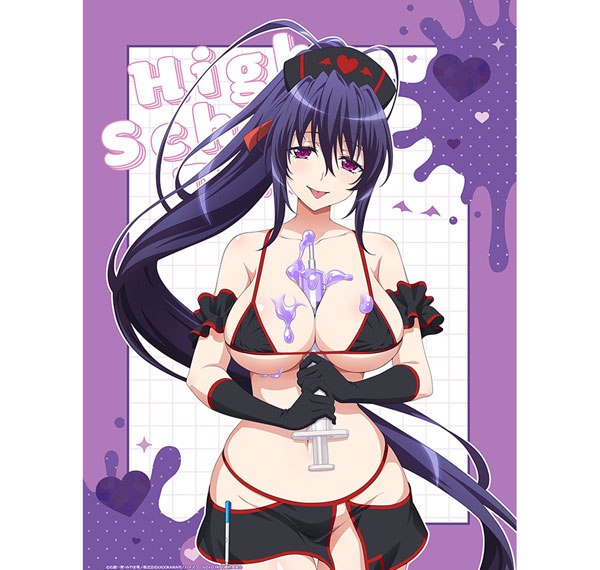 Curtain Damashii High School D x D HERO New Illustration B2 Wall Scroll (Akeno Himejima / Black Nurse) Double Suede รูปภาพ 1