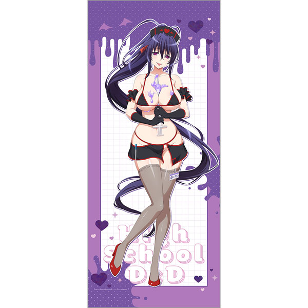 Curtain Damashii 하이스쿨 D x D HERO 신일러스트 점보 벽걸이 스크롤 (히메지마 아케노 / 블랙 너스)