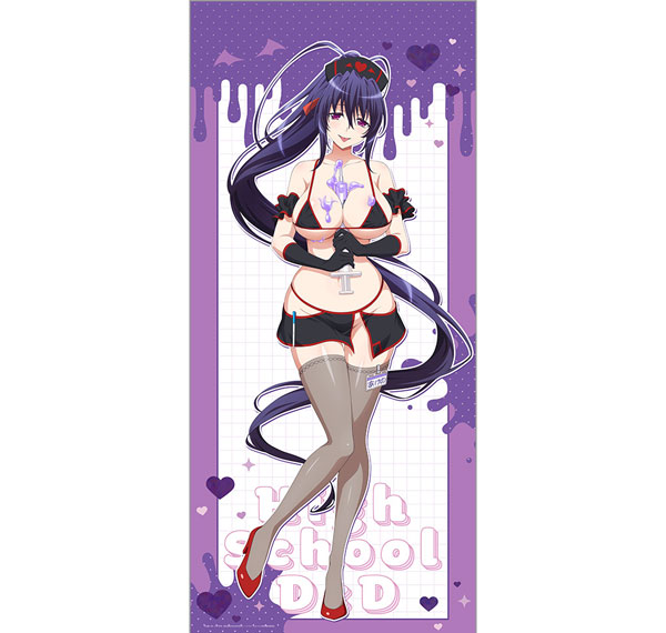 Curtain Damashii 하이스쿨 D x D HERO 신일러스트 점보 벽걸이 스크롤 (히메지마 아케노 / 블랙 너스) 이미지 1