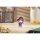 Hobby sakura [Exclusive Sale] GODDESS OF VICTORY: NIKKE SD Acrylic Keychain 6Pack BOX Bild 4