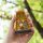 SCIFI Fanspace Doctor Who Shakashaka Acrylic Keychain Dalek รูปภาพ 4