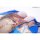 HobbyJAPAN Brown Dust 2 3D Pillow Cover Wilhelmina รูปภาพ 4