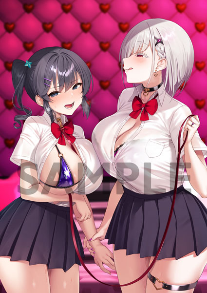 VPan's Extasy Vanishing Reality -Otome Ginsei Rumifuonia- Kaoru Natsume & Seren Oshimizu B2 Wall Scroll