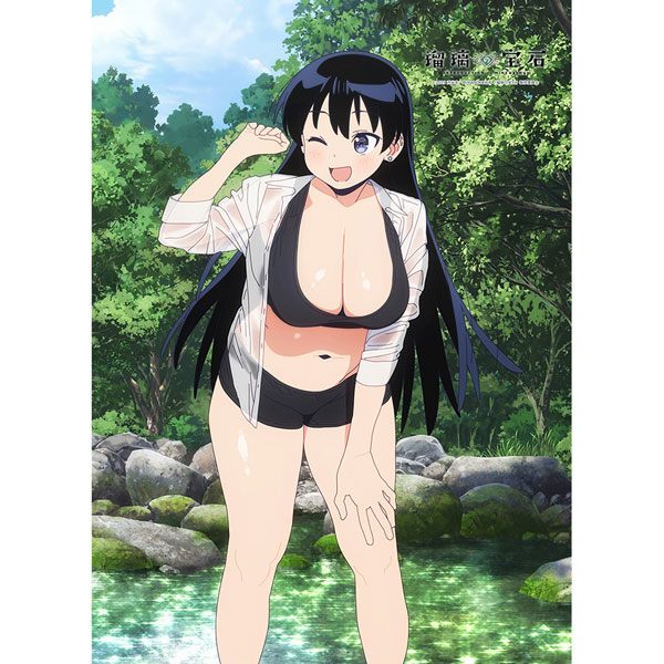 Curtain Damashii [Ruri no Houseki] New Illustration B2 Wall Scroll (Nagi Arato / Water Fun) Double Suede