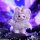 Dumia Morino Star Fantasy Fairy Plush w/Soft Vinyl Series Blind Box 4Pack BOX image 7