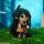 Dumia Faded Tea Party Series Plush Blind Box 4Pack BOX image 4