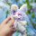 Dumia Pocket Cute Pet Series Charm Blind Box 4Pack BOX รูปภาพ 3