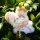 Dumia Pocket Cute Pet Series Charm Blind Box 4Pack BOX รูปภาพ 6