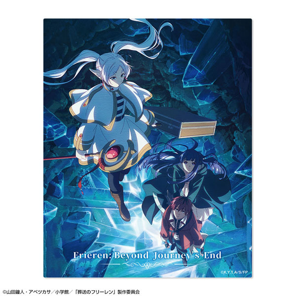 License Agent TV Anime "Frieren: Beyond Journey's End" Canvas Art Design 02 (Group /B) รูปภาพ 1