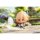 APEX Genshin Impact "Senjou no Eishi" Trading Figure sumeru Version 9Pack BOX รูปภาพ 14
