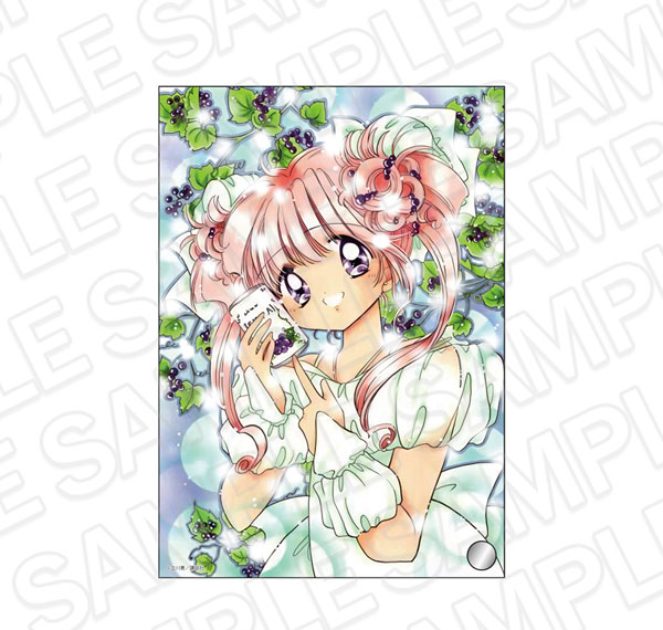 Contents Seed Mink Mini Acrylic Art B