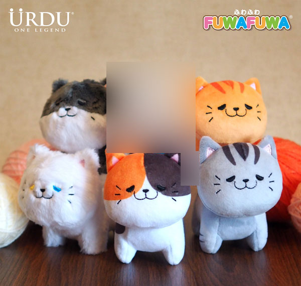 Jonwin International URDU FUWAFUWA Part 6 Kitten 5Pack BOX รูปภาพ 1
