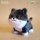 Jonwin International URDU FUWAFUWA Part 6 Kitten 5Pack BOX รูปภาพ 5