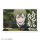 COSPA Jujutsu Kaisen Naoya Zenin "Don't you have a human heart?" Dialogue Acrylic Stand รูปภาพ 2