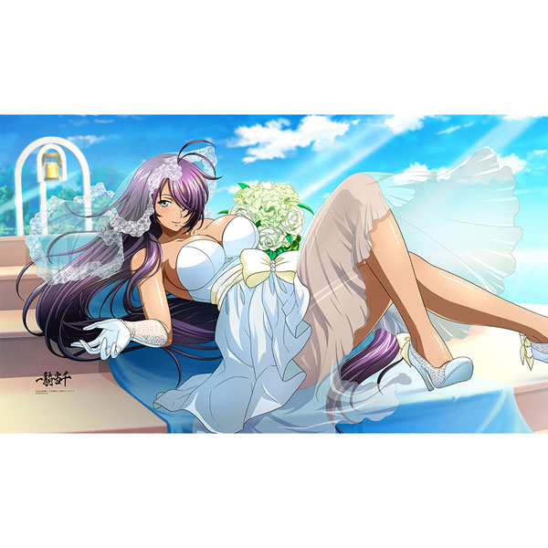 Curtain Damashii [Ikkitousen] Sheets (Unchou Kan-u / Shiokaze no Hanayome) image 1