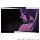 Hobby Stock TV Anime "Bleach: Thousand-Year Blood War" Postcard Set vol.3 รูปภาพ 3