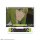 License Agent TV Anime "Fate/strange Fake" Trading Acrylic Stand 10Pack BOX imagen 14