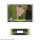 License Agent TV Anime "Fate/strange Fake" Trading Acrylic Stand 10Pack BOX imagen 15