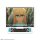License Agent TV Anime "Fate/strange Fake" Trading Acrylic Stand 10Pack BOX imagen 2