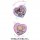 TCP My Melody / Kuromi / Hello Kitty Shakashaka Sticker (My Melody / Kuromi) imagen 2