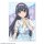 License Agent "Seishun Buta Yarou" Series Trading Acryl-Karte (Sommer-Karomuster ver.) Neue Illustration 12Pack BOX Bild 13