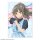 License Agent "Seishun Buta Yarou" Series Trading Acryl-Karte (Sommer-Karomuster ver.) Neue Illustration 12Pack BOX Bild 10