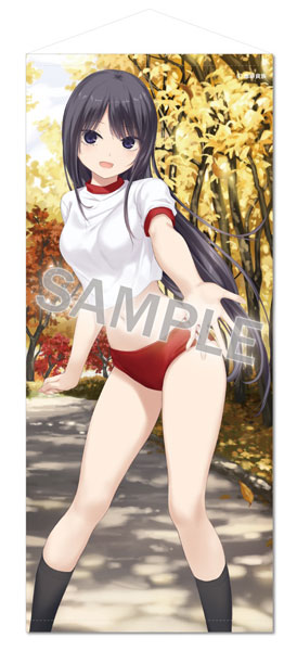 Brendream Coffee Kizoku Special Size Wall Scroll Lovely day -Takeawalk Bloomers Shiramine-san-