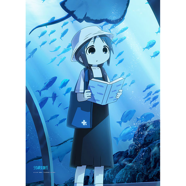 Curtain Damashii [Girls' Last Tour] New Illustration B2 Wall Scroll (Chito / Aquarium) Double Suede Bild 1