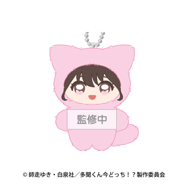 Ensky TV Anime "Tamon's B-Side" Chimikemo Mascot 1. Utage Kinoshita