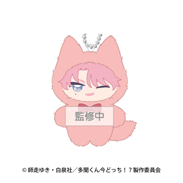 Ensky TV Anime "Tamon's B-Side" Chimikemo Mascot 2. Tamon Fukuhara A