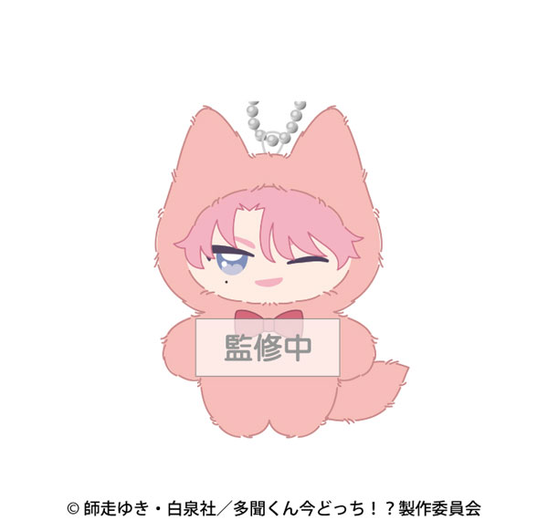 Ensky TV Anime "Tamon's B-Side" Chimikemo Mascot 2. Tamon Fukuhara A รูปภาพ 1