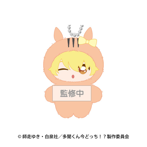 Ensky TV Anime "Tamon's B-Side" Chimikemo Mascot 6. Natsuki Ishibashi