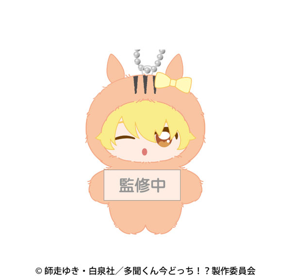 Ensky TV Anime "Tamon's B-Side" Chimikemo Mascot 6. Natsuki Ishibashi รูปภาพ 1