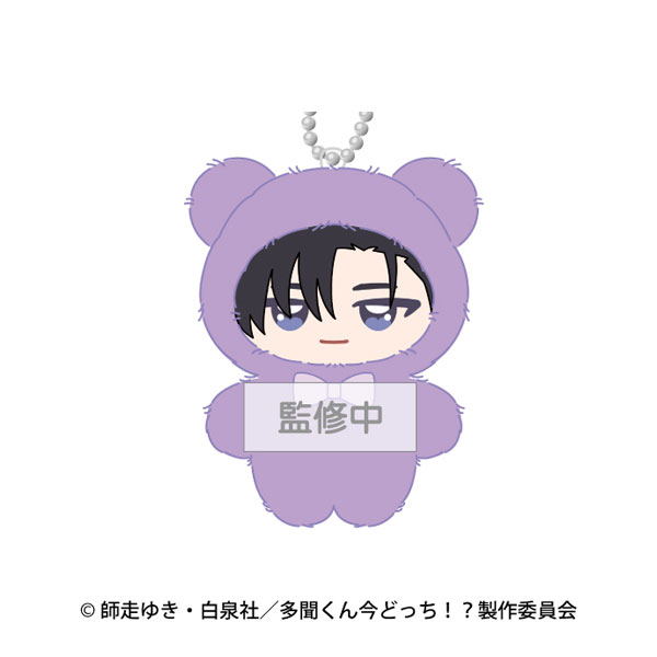 Ensky TV Anime "Tamon's B-Side" Chimikemo Mascot 7. Rintaro Kai