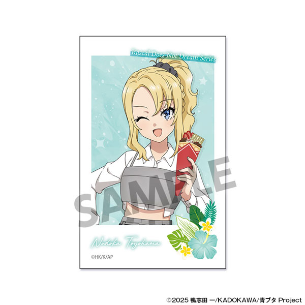 Hobby Stock Seishun Buta Yarou Series New Illustration Instant Photo Style Sticker Nodoka Toyohama Vacation ver. gambar 1