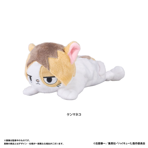 Eyeup Haikyuu!! Plush Pen Pouch (Kenma Cat) 图片 1