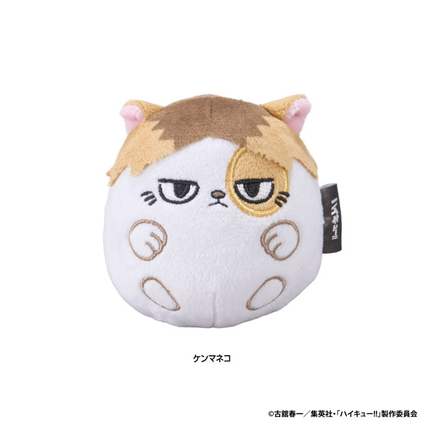 Eyeup Haikyuu!! NuiKoron (Kenma Cat) hình ảnh 1