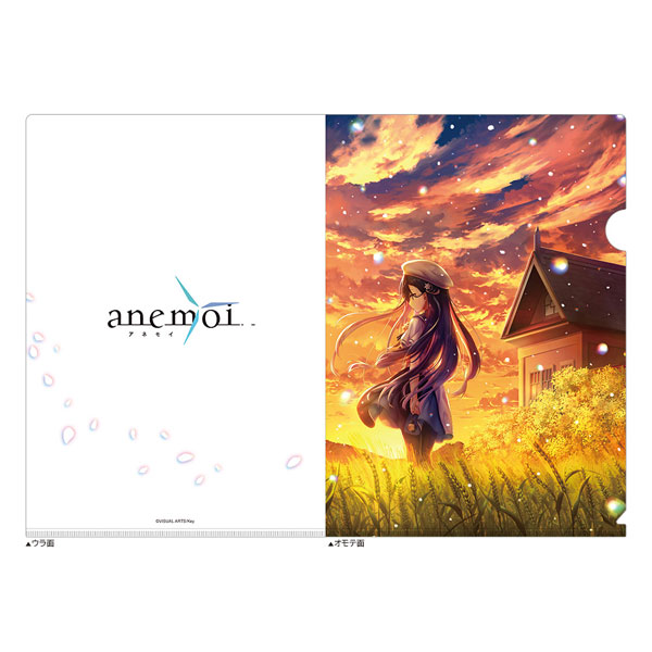 Curtain Damashii [anemoi] Clear File (Rikka Hayakawa / Image Visual) รูปภาพ 1