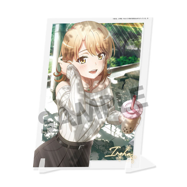 Hobby Stock My Teen Romantic Comedy SNAFU. Completion Visual Acrylic Plate Iroha Isshiki Theme Park Date ver.