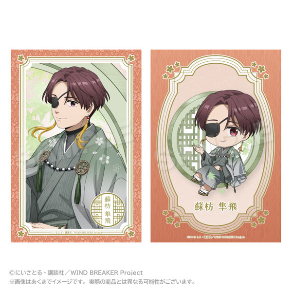 Stella Notes WIND BREAKER Postcard Set Round Window ver. Hayato Suo รูปภาพ 1