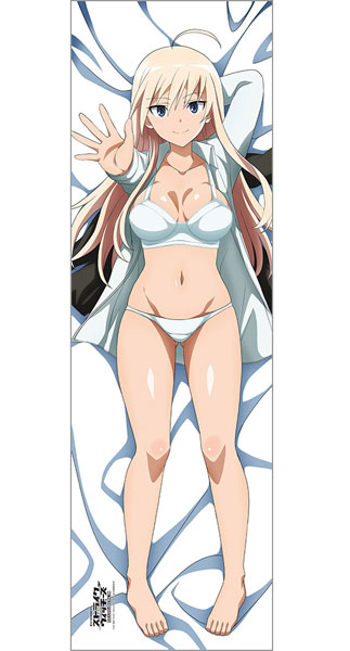 Curtain Damashii [501st Joint Fighter Wing Strike Witches ROAD to BERLIN] New Illustration Hugging Pillow Cover Hanna 2WAY Tricot
