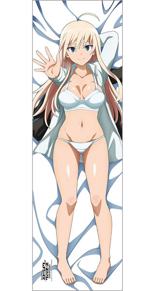 Curtain Damashii [501st Joint Fighter Wing Strike Witches ROAD to BERLIN] New Illustration Hugging Pillow Cover Hanna Smooth hình ảnh 1