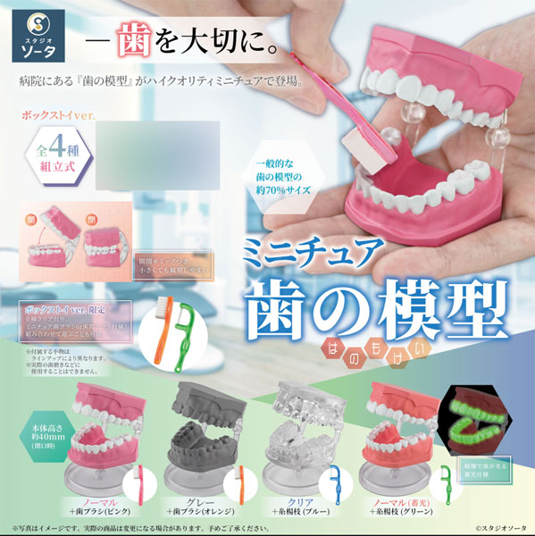 SO-TA Miniature Tooth Model 4Pack BOX image 1