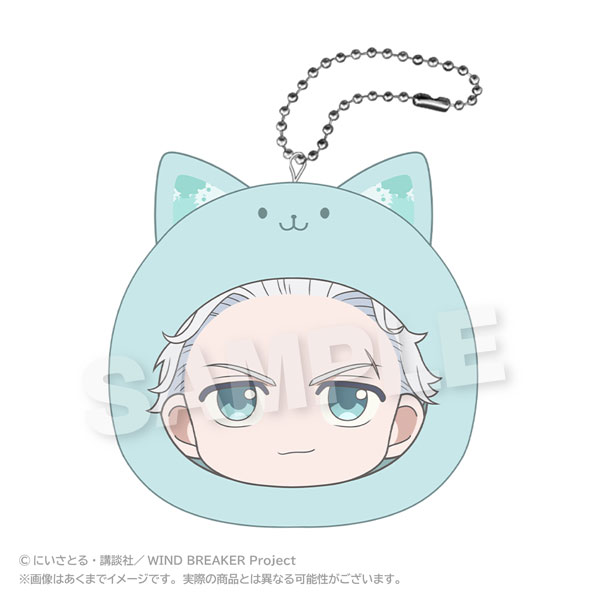 Stella Notes WIND BREAKER Marumates Cushion Keychain Pastel ver. Hajime Umemiya hình ảnh 1