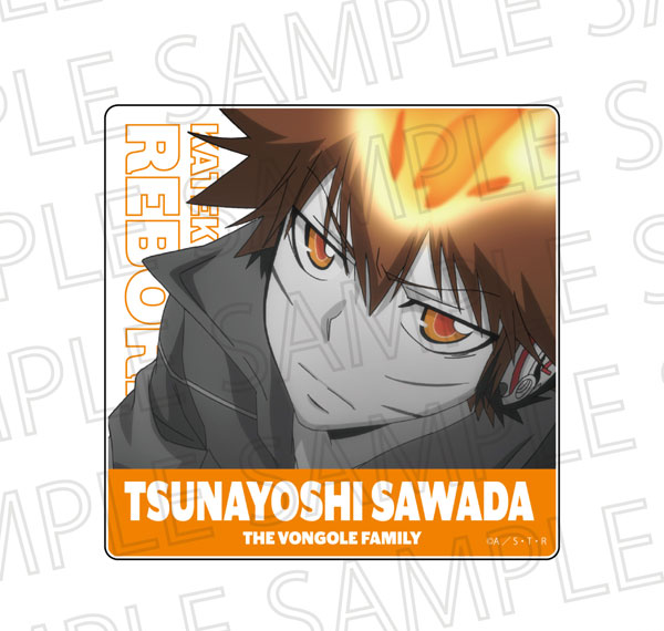 SR-GYM TV Anime "Reborn!" Acrylic Block Tsunayoshi Sawada (Accent Color) รูปภาพ 1